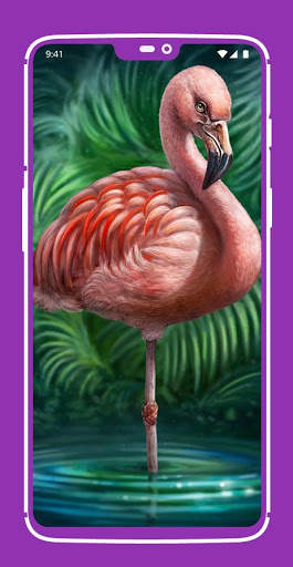 Flamingo Wallpaper screenshot 4