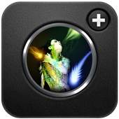 Live Camera With Effects 1.0