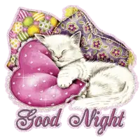 Good Night SMS Messages Msgs icon
