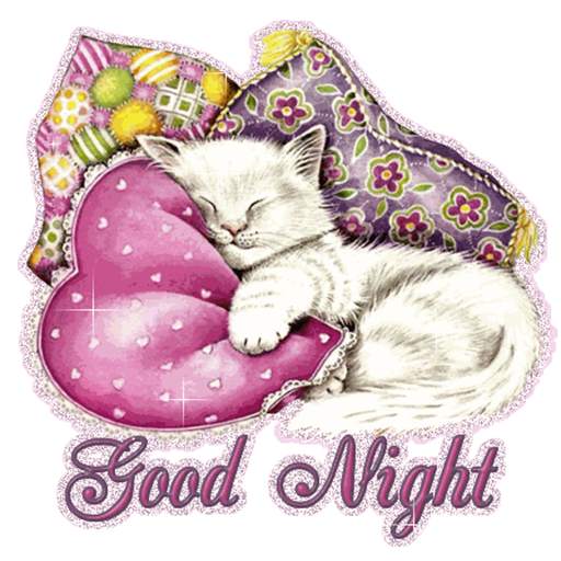 Good Night SMS Messages Msgs 1.0