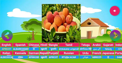 Learning Animals Fruits Vegetables Birds Meaning screenshot 1