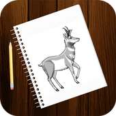 Free Drawing Tutorials - Animals (1st Edition) logo