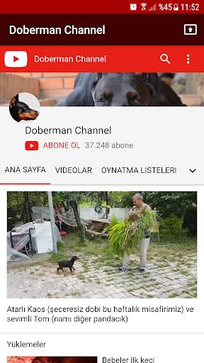 Doberman Channel स्क्रीनशॉट 1