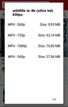 Tube Video Downloader screenshot 1