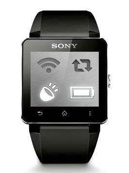 SW2 Status Styler SmartWatch2 screenshot 2
