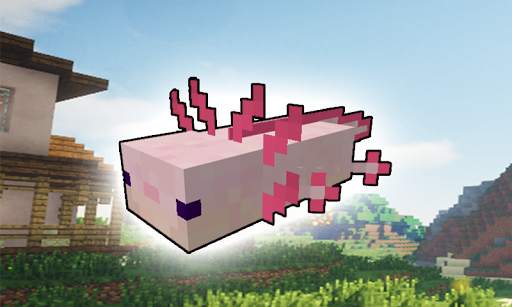 Axolotls Mod for Minecraft PE screenshot 3