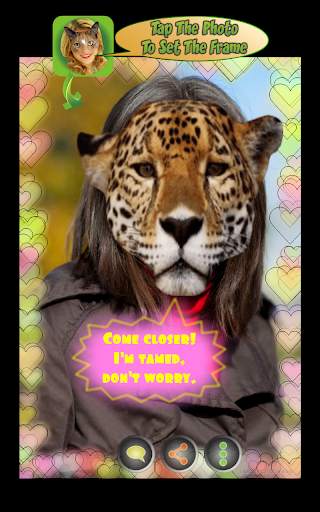Look Like Cat screenshot 9