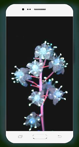 Neon Flower Wallpaper screenshot 13