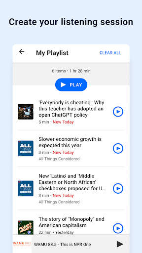 NPR screenshot 6