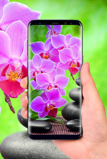 Orchids 3D Free Live Wallpaper screenshot 3