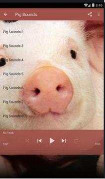 Pig Sounds Lite screenshot 3