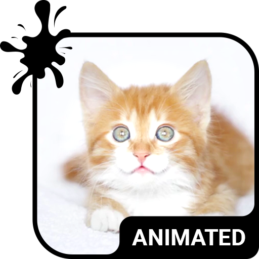 Kitty Cat Animated Keyboard   Live Wallpaper أيقونة