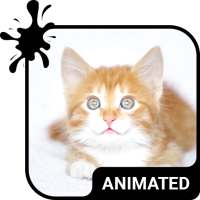 Kitty Cat Animated Keyboard   Live Wallpaper on 9Apps