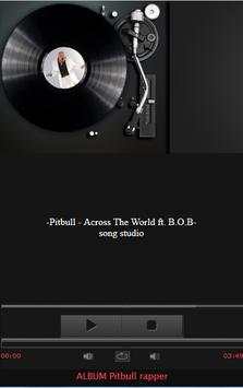 Pitbull Mp3 Music screenshot 2