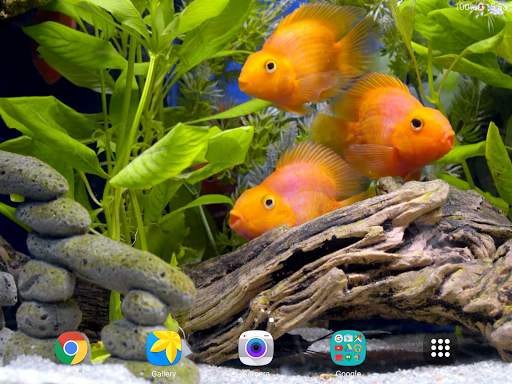 Aquarium 4K Live Wallpaper screenshot 10