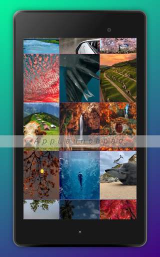 Likes Pro screenshot 3