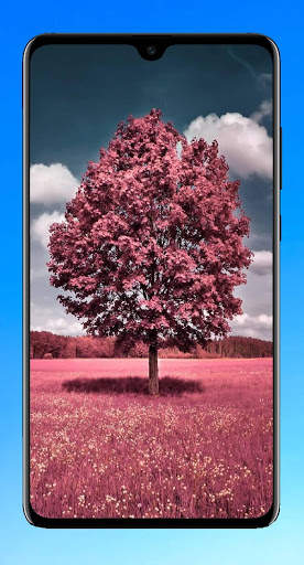 Tree Wallpaper 4K screenshot 4