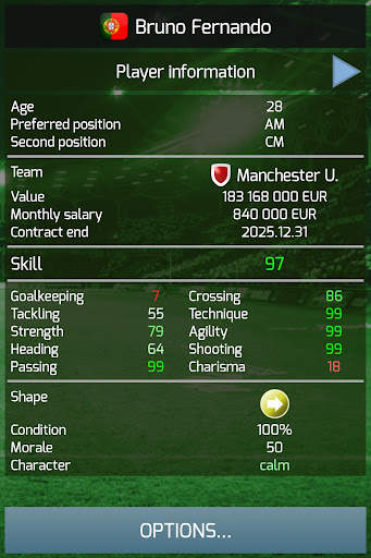 True Football 3 screenshot 13