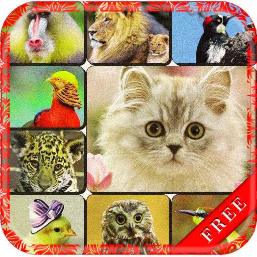 Cute Animal Sounds 2.1