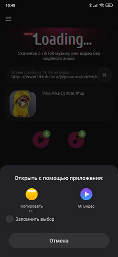 Тик Ток скачать видео без водяного знака бесплатно скриншот 5