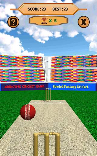 Bowled 3D - Cricket Game screenshot 15