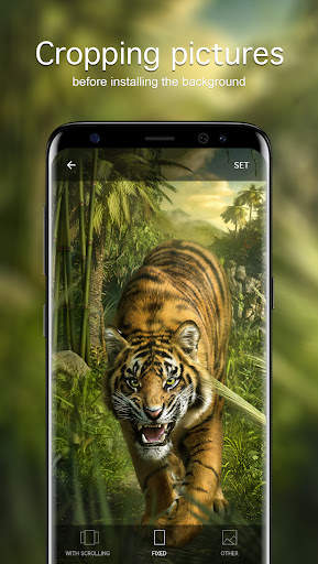 Tiger Wallpapers 4K screenshot 4