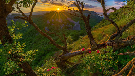 Spring Wallpapers : backgrounds hd screenshot 14