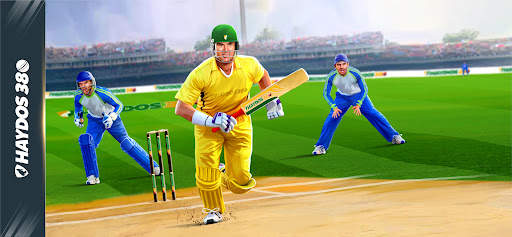 Haydos 380: Cricket Game screenshot 1