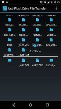 Usb Flash Drive File Transfer screenshot 4