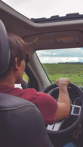 Learn Driving screenshot 2