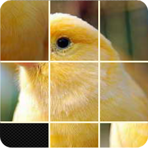 Pictures Puzzle Best Game icon