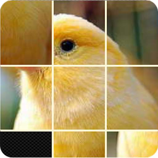 Pictures Puzzle Best Game 1.7