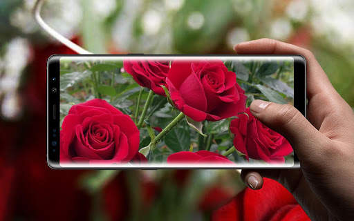 Beautiful Rose Free Live Wallpaper screenshot 12