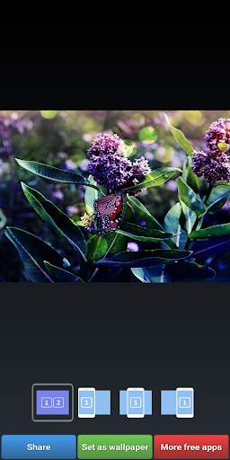 Lilac Wallpapers screenshot 8