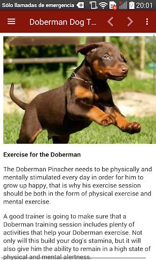 Doberman Dog Training screenshot 14