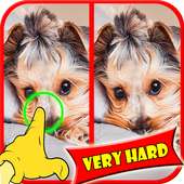 Find Difference Between Two Pictures Games logo