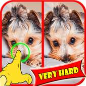 Find Difference Between Two Pictures Games 1.1.0