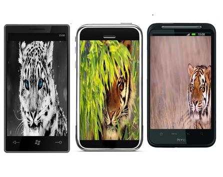 3D tiger wallpaper screenshot 2