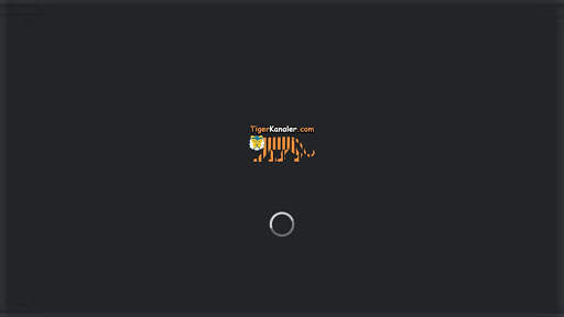 IPTV Tigerkanaler Player screenshot 10