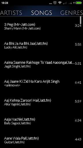 Max Audio Player (Play local songs from anywhere) screenshot 3