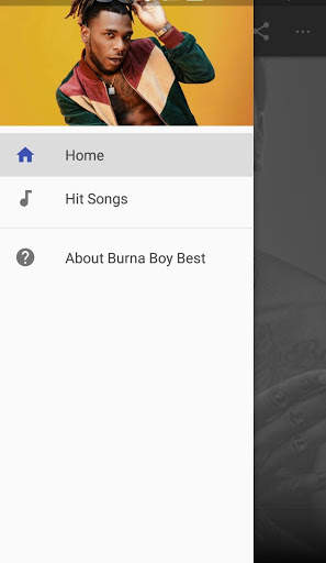 Burna Boy Best Songs screenshot 1