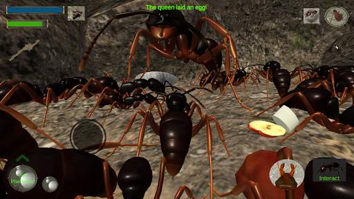 Ant Simulation 3D - Insect Sur screenshot 1