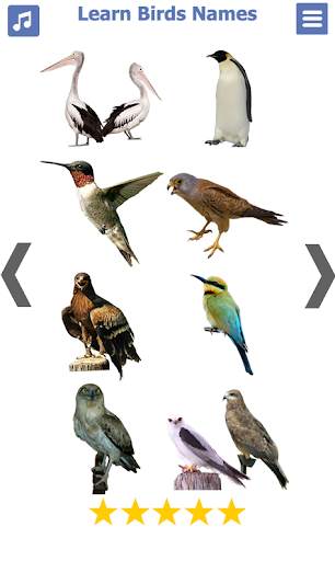 Birds name in English स्क्रीनशॉट 5