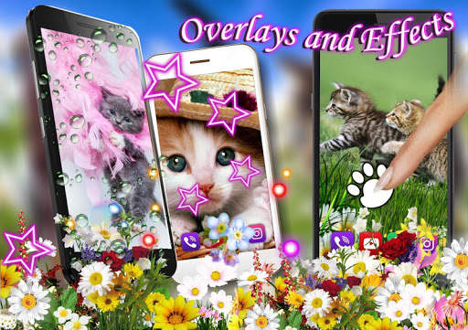 Kittens Lovely LWP screenshot 6