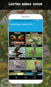 Animal Sounds App: Beautiful Birds Sounds screenshot 2