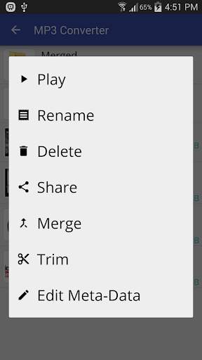 Video to MP3 Converter screenshot 5