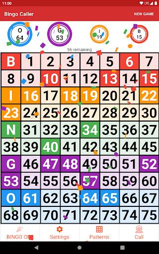 Bingo Caller screenshot 11