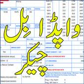 Wapda Bill Checker Pakistan icon
