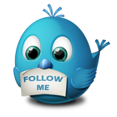 Lite for using Twitter icon