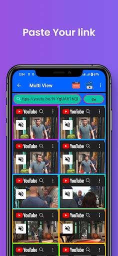 Multi View Browser Video View screenshot 4